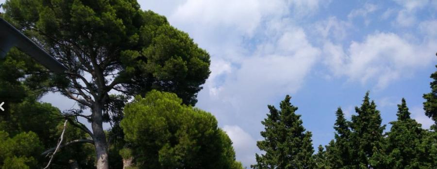 Отдых в Крыму | Однокомнатный дом для двоих с видом на Воронцовкий парк