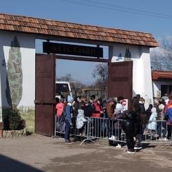 Отдых в Крыму | Медоварни на паях крафтовая медовуха премиум класса на розлив