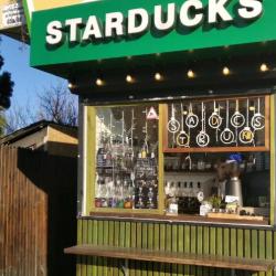 Отдых в Крыму | STARDUCKS coffee кофейня, классические и авторские чай, кофе, фреши