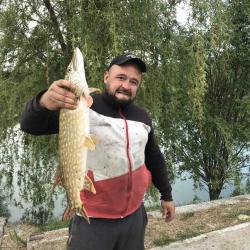 Отдых в Крыму | Вербочки платник со щукой сомом толстолобиком карпом и амуром