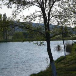 Отдых в Крыму | Старый Пруд платная рыбалка на карпа карася и амура в Денисовке