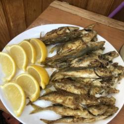 Отдых в Крыму | Арамис моторный катер с каютой и кухней для морской рыбалки