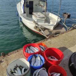 Отдых в Крыму | Морская рыбалка в открытом море с борта катера 12 мес эхолот гальюн