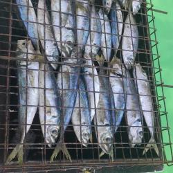 Отдых в Крыму | Айрис катер с капитаном в аренду для морской рыбалки в Балаклаве