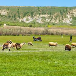 Отдых в Крыму | 2Колеса прокат шоссейных и туристических мотоциклов 